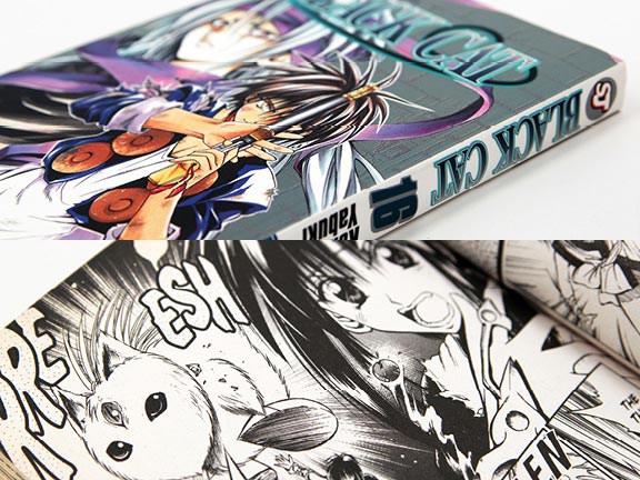 Manga, Comics & Graphic Novels