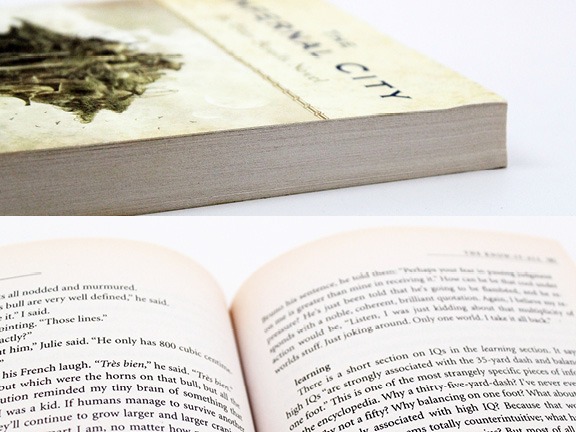 Best Quality Hardcover Novel Books Printing Service - China Books Printing,  Custom Books Printing