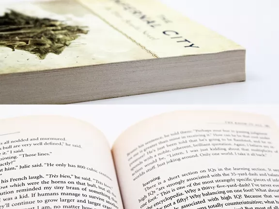 Design a novel, Vintage-Style Comic Design Specifications Based On Industry Standards