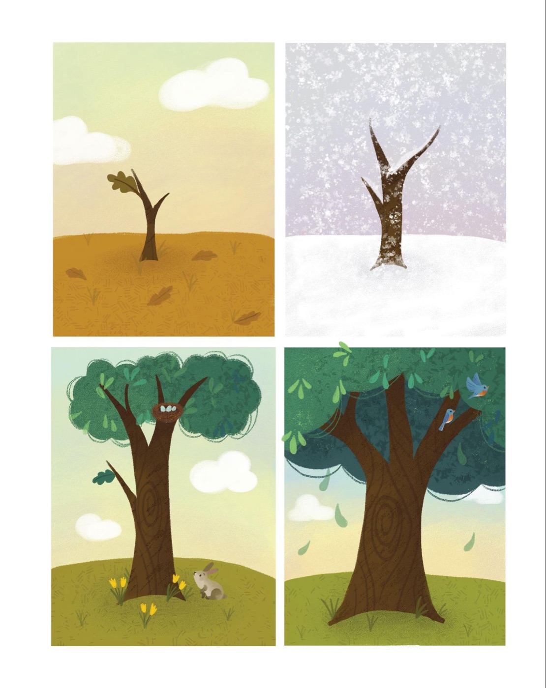Four-panel illustration spread from Do You Speak Tree? showing the same young oak tree across four seasons: autumn, winter, spring with a rabbit and crocuses, and full-leaved summer with birds in its branches